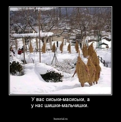 У вас сиськи-масиськи, а у нас шишки-мальчишки.