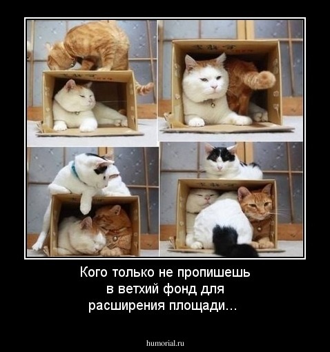 Кого только не пропишешь в ветхий фонд для расширения площади...