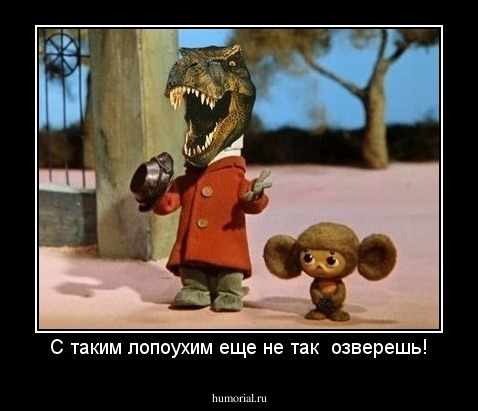 С таким лопоухим еще не так  озверешь!