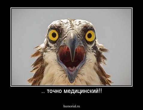 .. точно медицинский!!