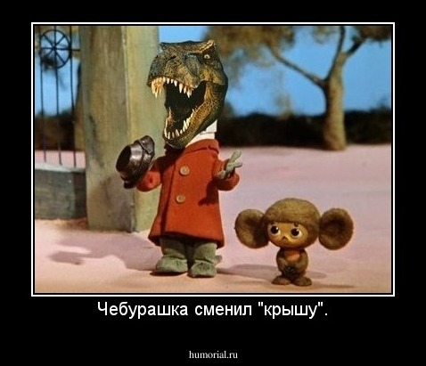 Чебурашка сменил "крышу".