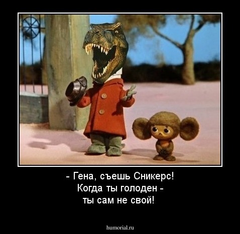 - Гена, съешь Сникерс! Когда ты голоден - ты сам не свой!