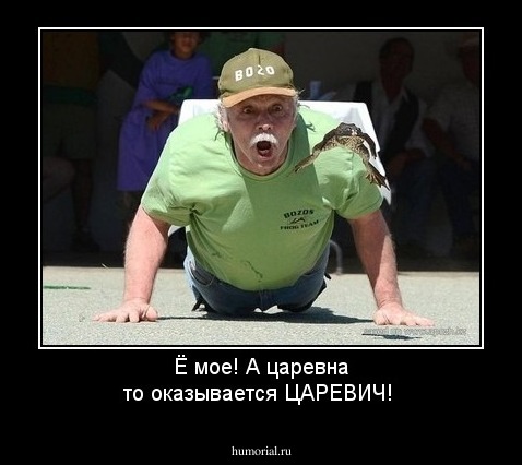 Ё мое! А царевна то оказывается ЦАРЕВИЧ! 