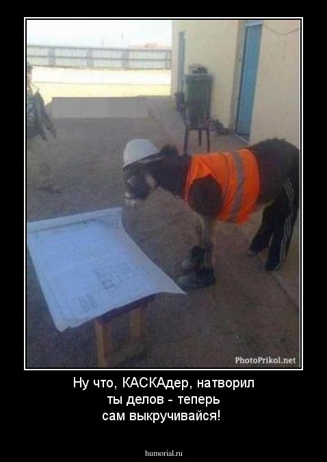 Ну что, КАСКАдер, натворил  ты делов - теперь сам выкручивайся!