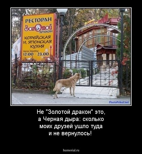 Не "Золотой дракон" это, а Черная дыра: сколько моих друзей ушло туда и не вернулось!