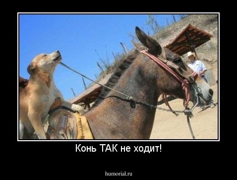 Конь ТАК не ходит!