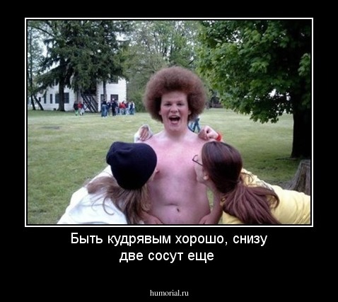 Быть кудрявым хорошо, снизу две сосут еще