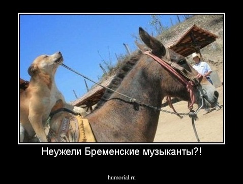 Неужели Бременские музыканты?!