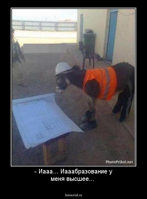 - Иааа... Иааабразование у меня высшее...