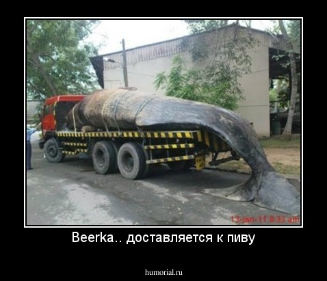 Beerka.. доставляется к пиву