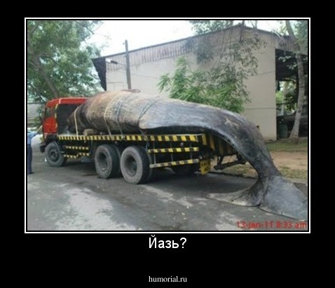 Йазь?