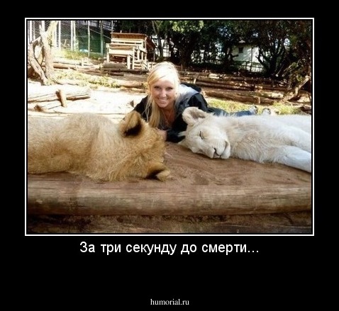 За три секунду до смерти...
