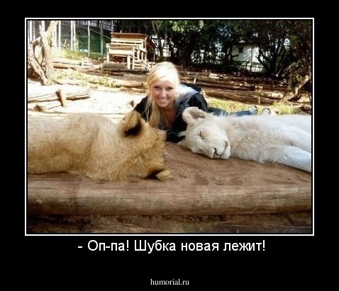  - Оп-па! Шубка новая лежит!