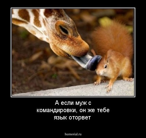 А если муж с командировки, он же тебе язык оторвет