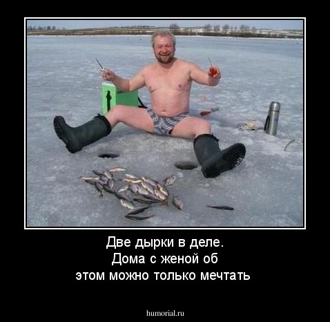 Две дырки в деле. Дома с женой об этом можно только мечтать