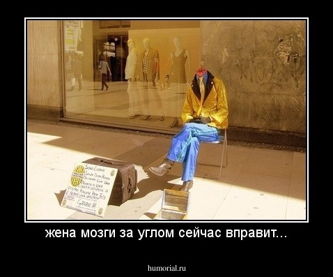 жена мозги за углом сейчас вправит...