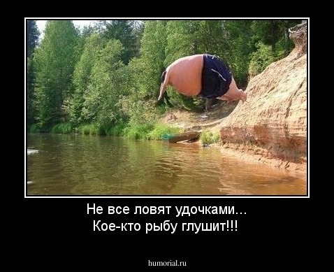 Не все ловят  удочками... Кое-кто рыбу глушит!!!