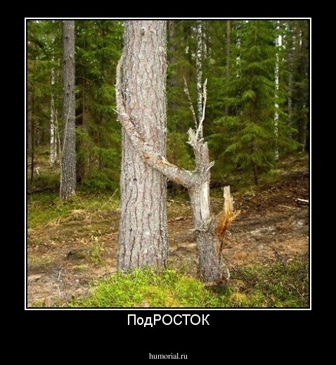 ПодРОСТОК