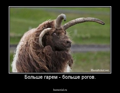 Больше гарем - больше рогов.
