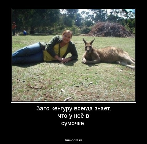 Зато кенгуру всегда знает, что у неё в сумочке