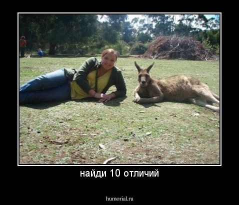 найди 10 отличий