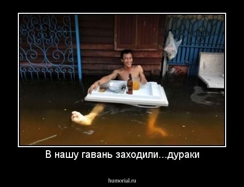 В нашу гавань заходили...дураки