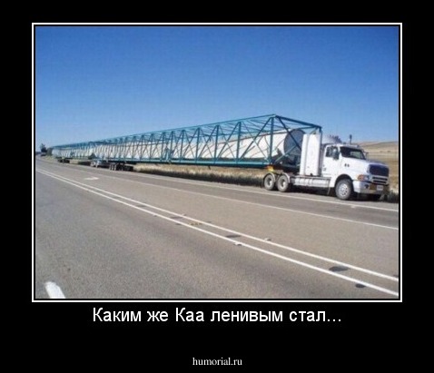 Каким же Каа ленивым стал...