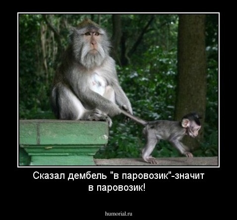 Сказал дембель "в паровозик"-значит в паровозик!