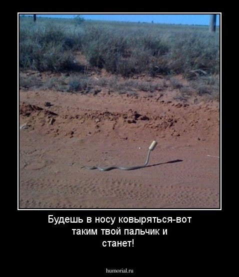 Будешь в носу ковыряться-вот таким твой пальчик и станет!