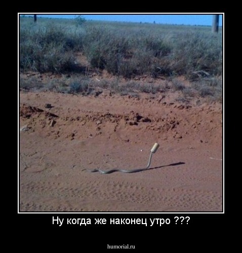Ну когда же наконец утро ???
