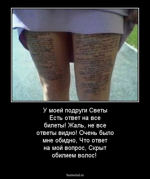 У моей подруги Светы
Есть ответ на все билеты!

Жаль, не все ответы видно!
Очень было мне обидно,
Что ответ на мой вопрос,
Скрыт обилием волос!