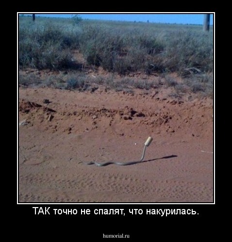 ТАК точно не спалят, что накурилась.