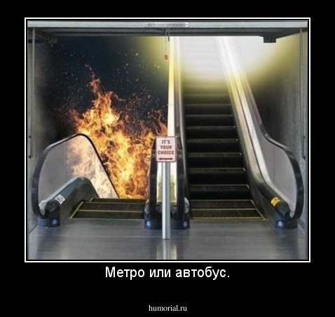 Метро или автобус.