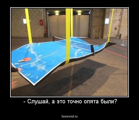  - Слушай, а это точно опята были?