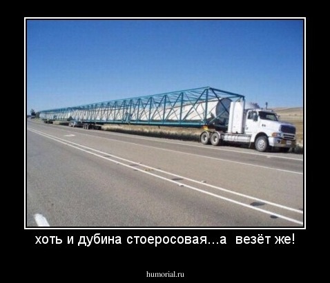 хоть и дубина стоеросовая...а  везёт же!