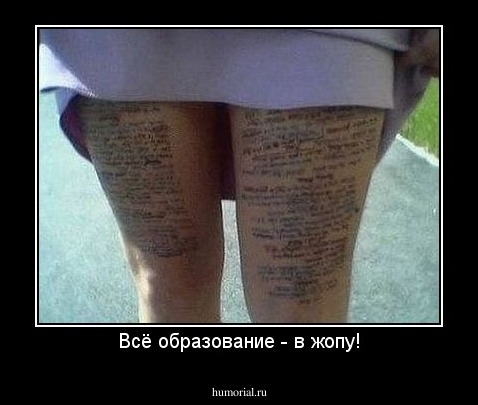 Всё образование - в жопу!