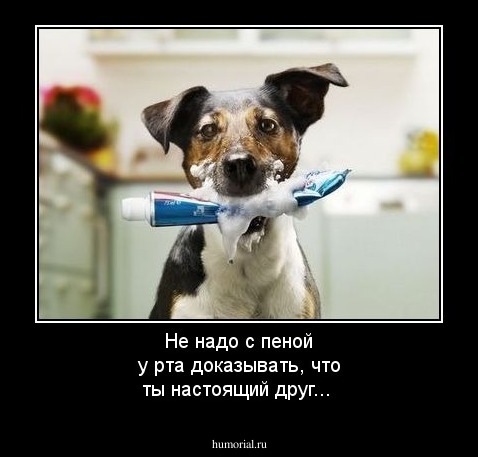 Не надо с пеной у рта доказывать, что ты настоящий друг...