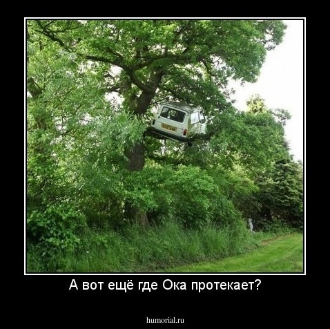 А вот ещё где Ока протекает?