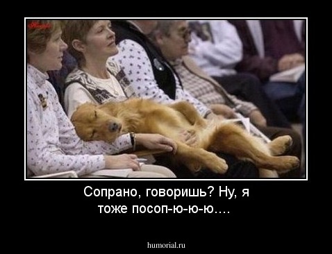 Сопрано, говоришь? Ну, я тоже посоп-ю-ю-ю....