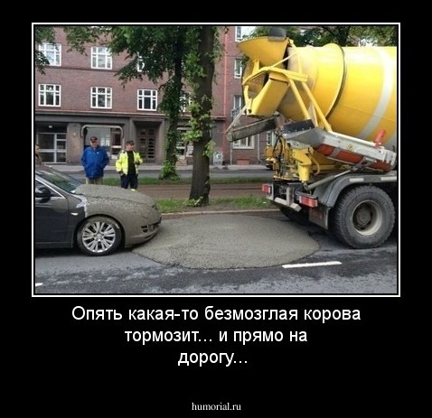 Опять какая-то безмозглая корова тормозит... и прямо на дорогу...