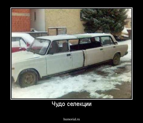 Чудо селекции