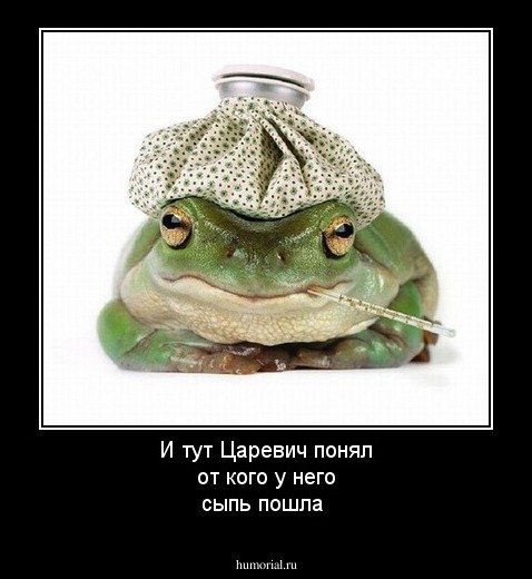 И тут Царевич понял от кого у него сыпь пошла 