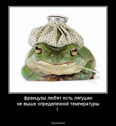 французы любят есть лягушек не выше определенной температуры !