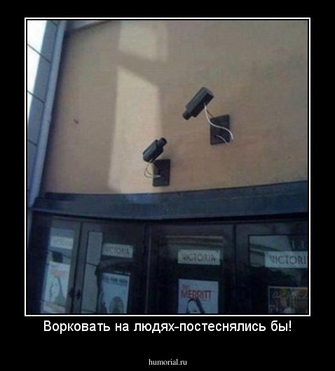 Ворковать на людях-постеснялись бы!