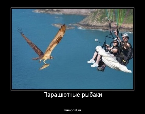 Парашютные рыбаки