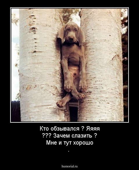 Кто обзывался ? Яяяя ??? Зачем слазить ? Мне и тут хорошо .