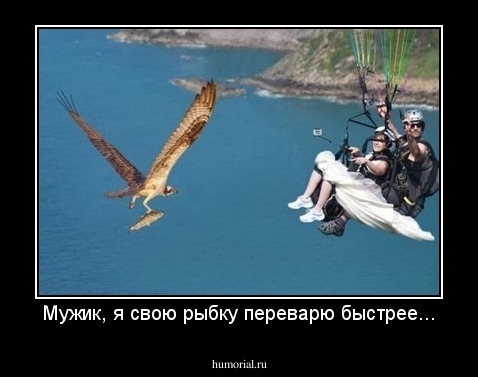 Мужик, я свою рыбку переварю быстрее...