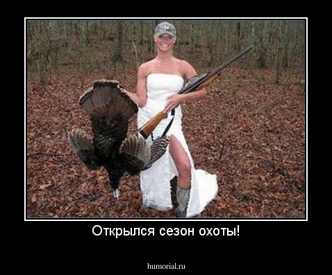 Открылся сезон охоты!