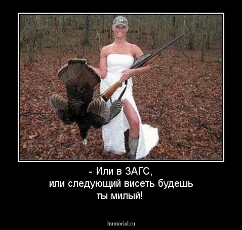 - Или в ЗАГС, или следующий висеть будешь ты милый!