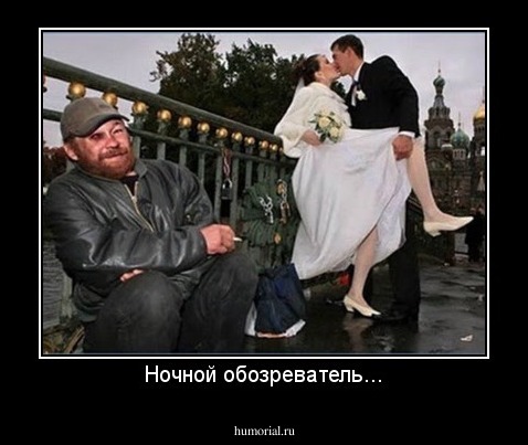 Ночной обозреватель...